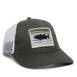 In The Wild STRIPER Fish Premium Snapback Hat - BNVEED STYLE